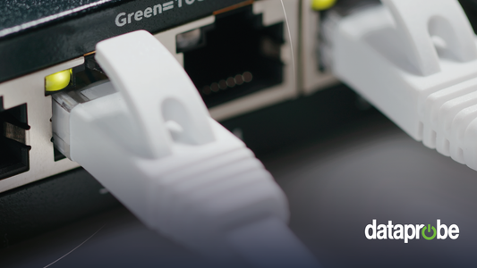 White Ethernet cable connectors plugged into a network switch, with a 'dataprobe' watermark in the bottom right corner.