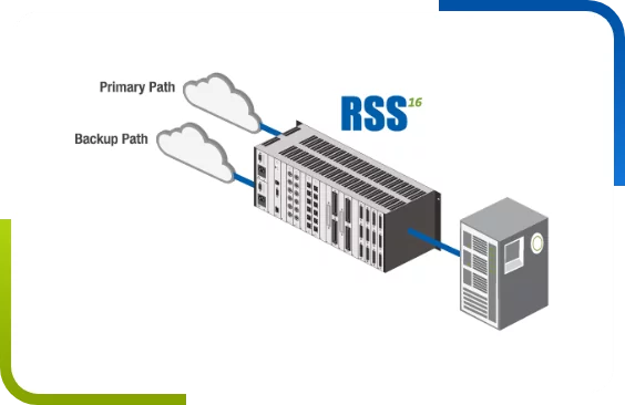 Diagram showing a server with RSS 25 labeled, connected to clouds labeled 'Primary Path' and 'Backup Path'.